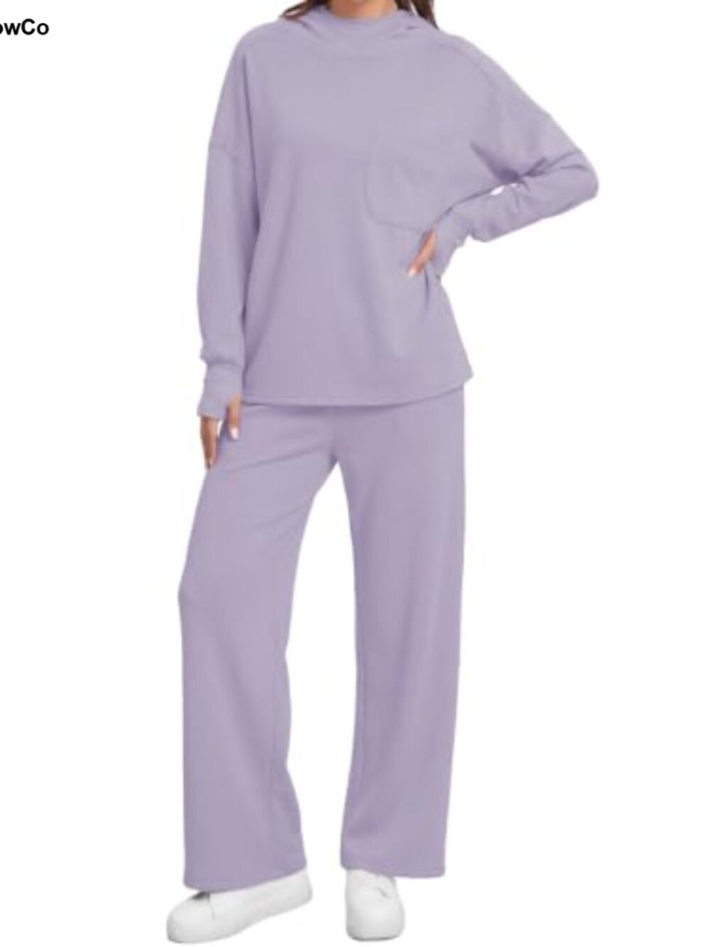 Women's 2 Piece Sweatsuit Set Oversized Hoodie Matching Set with Pockets